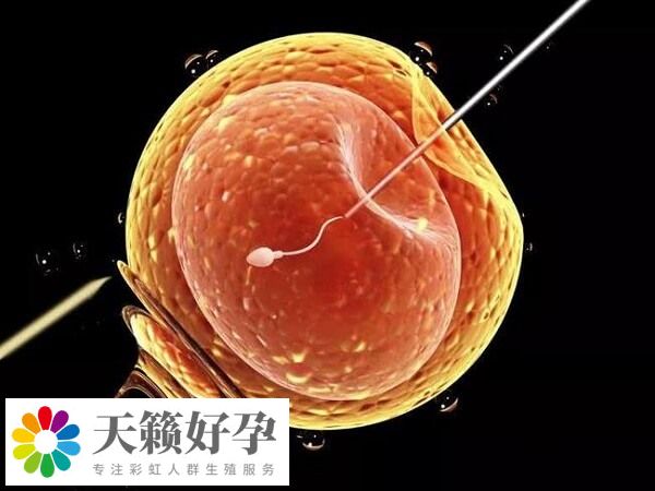 四川省婦女兒童醫院的成功率在55%以上