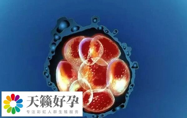 身體情況是影響試管嬰兒成功率因素之一