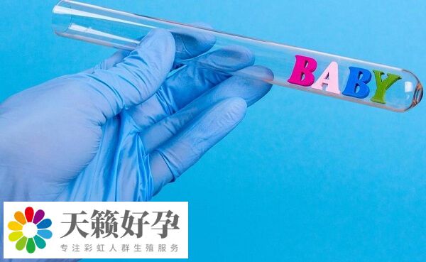 卵子和胚胎質量會影響試管嬰兒成功率
