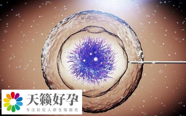 心理狀態是影響試管成敗的重要因素之一