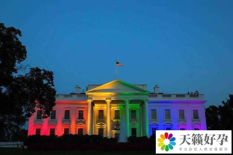 A套餐：供卵自懷 10萬