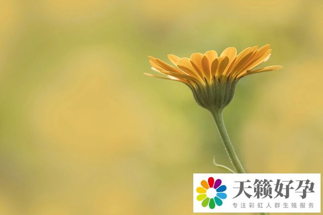 男同性戀性取向的多維分析及社會歧視影響