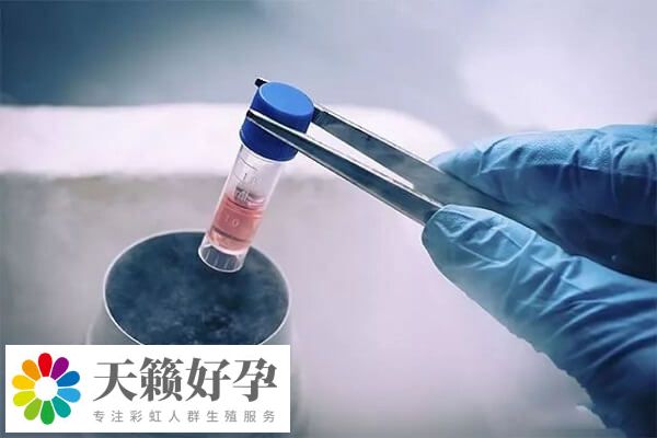 年齡是影響試管嬰兒成功率的一大因素