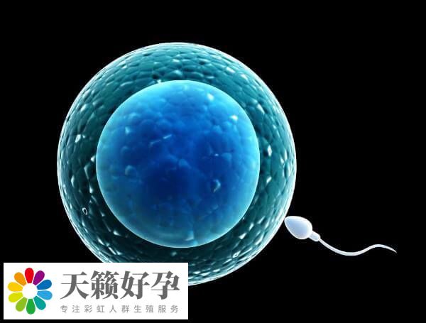 女性年齡是影響試管嬰兒成功率因素之一