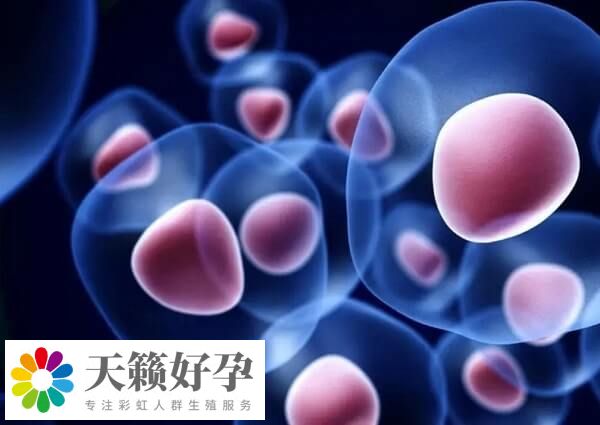 廣州市婦幼保健院試管成功率較高