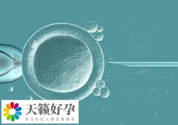 輸卵管切除試管哪里可以做？