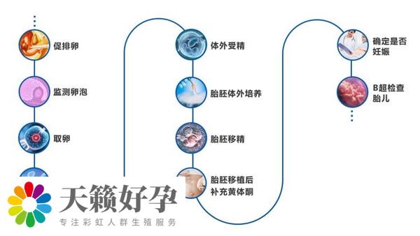 醫院試管嬰兒流程