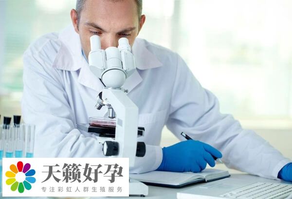 試管嬰兒成功率