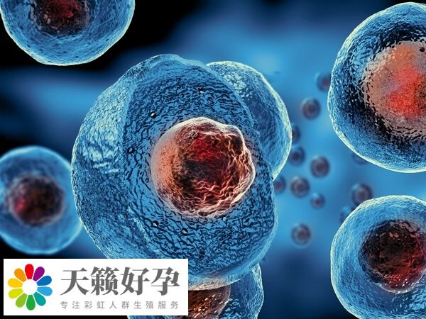 福州總院試管嬰兒費用