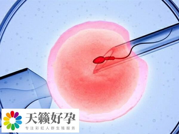 鄭大一附院試管成功率