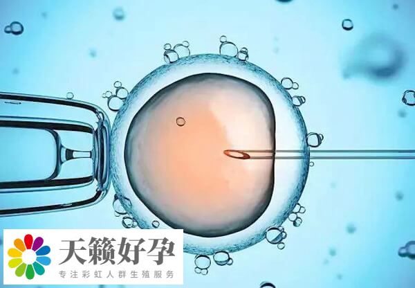 試管成功率和患者身體有關