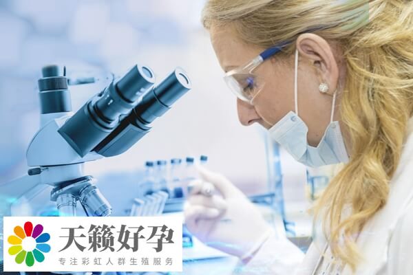 沈陽婦嬰醫(yī)院試管成功率