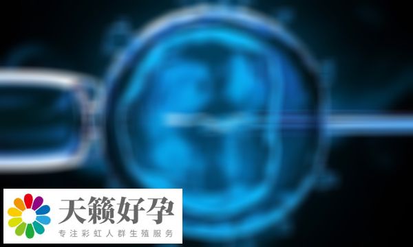 醫院試管嬰兒成功率