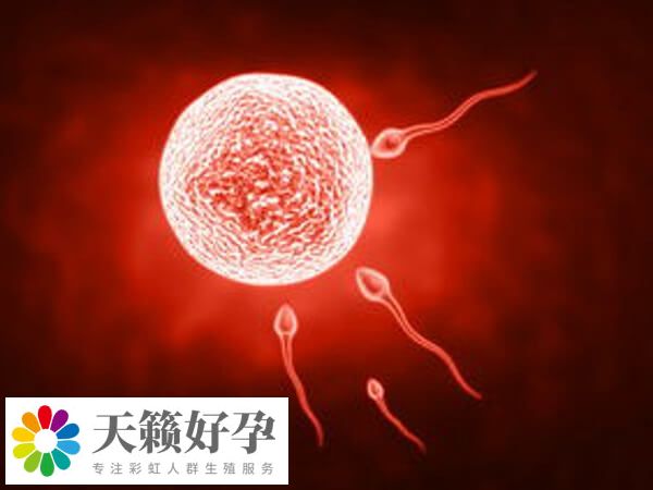 鼓樓醫(yī)院試管費(fèi)用