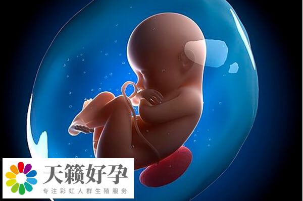 安醫附院試管嬰兒費用受多種因素影響