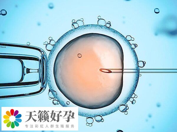 子宮環(huán)境是影響試管成功率因素之一