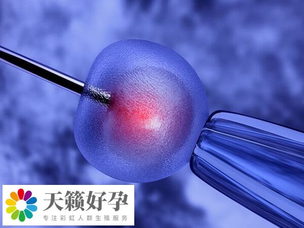 貴醫附院試管妊娠率在40%-50%左右