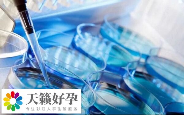 西北婦女兒童醫院試管成功率在52%左右