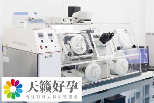 先進(jìn)的實(shí)驗(yàn)室設(shè)備