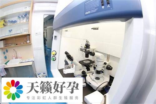 實(shí)驗(yàn)室設(shè)備