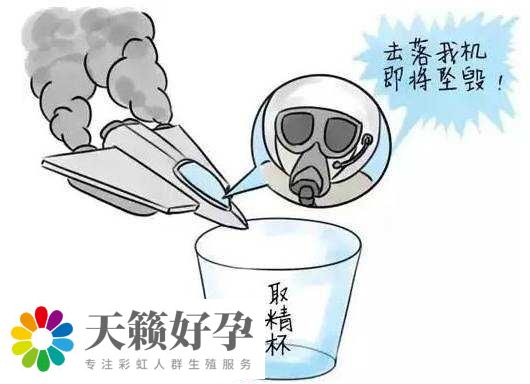 做試管嬰兒的全過程體驗是怎樣的？