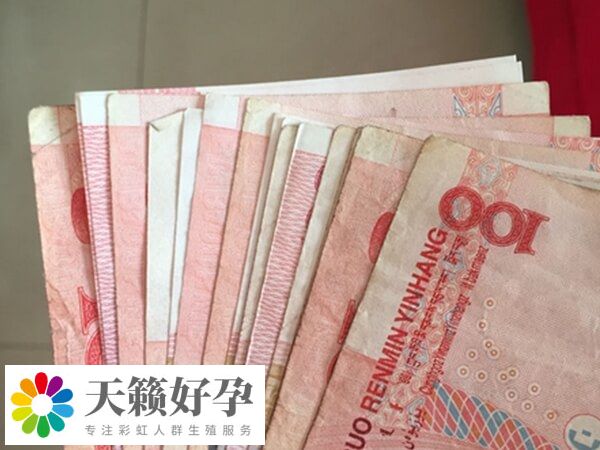 試管做雙胞胎要多少錢