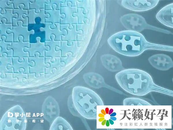 做試管前做檢查是非常重要的