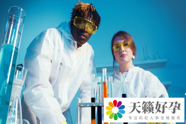 試管雙胞胎和單胎價格搶先看一文講清試管的費用和什么有關