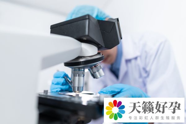 試管嬰兒的全部流程及費用