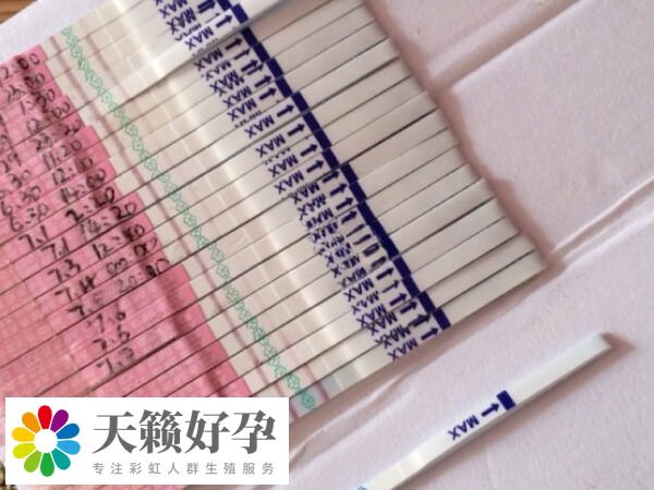 排卵試紙使用前閱讀說明書很重要