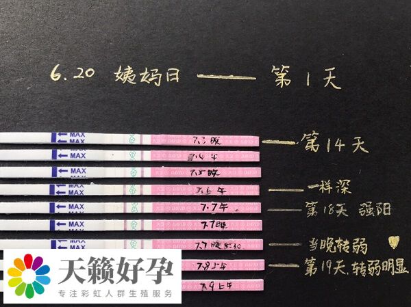 排卵試紙最好在月經結束一周后使用