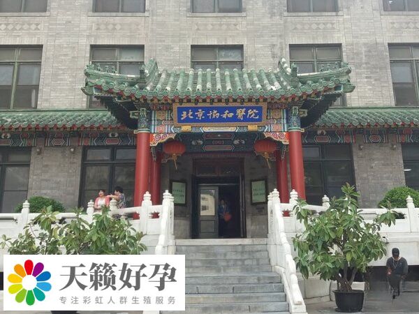 北京協和試管雙胞胎促排卵費用約4.5-6.5千元