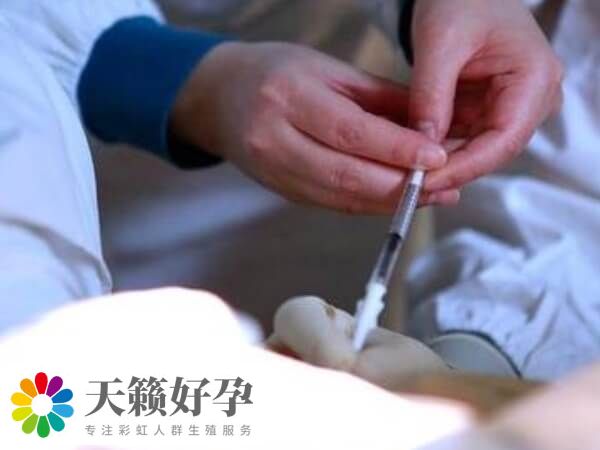 囊胚移植第五天屁多怎么回事