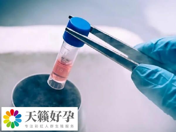 移植凍胚自然周期方案不打降調