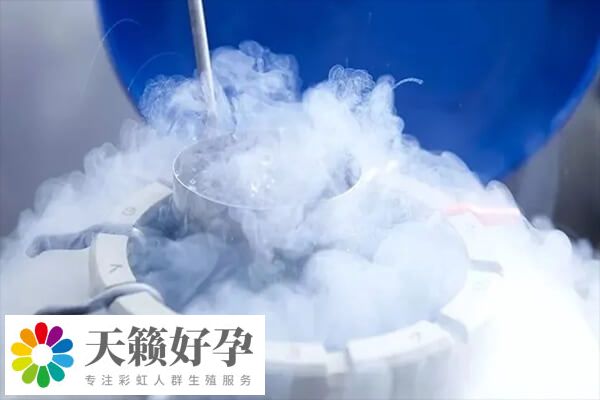 凍胚移植后激素水平會改變