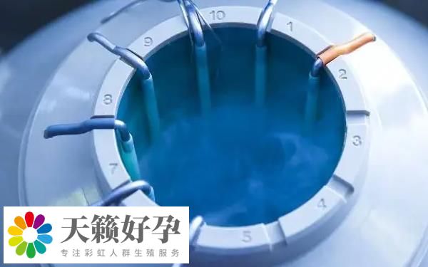 25歲-35歲是凍卵最佳時(shí)間