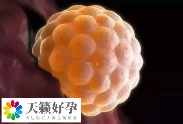 單身試管生育的孩子數量在逐年增加