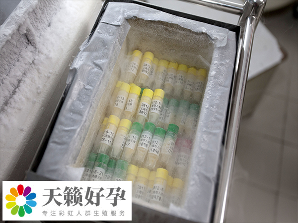 單身在國內做試管不合法