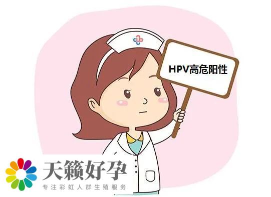 HPV感染可影響男性精子，導致男性不孕