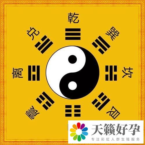 同性戀的八字探討