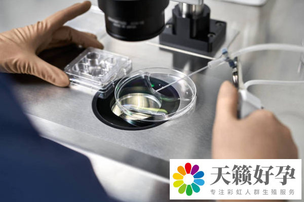 第三代試管嬰兒成功率高不高
