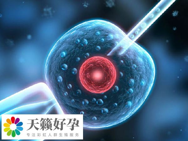 實施人授失敗轉試管是否一定要取卵