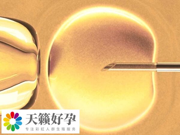 促排卵質量差可能是垂體問題