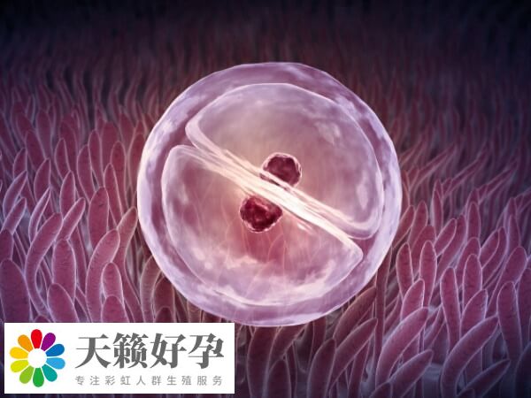 試管老失敗是什么原因