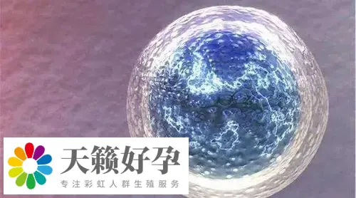 助孕機構(gòu)做三代試管產(chǎn)子多少錢，費用清單新鮮出爐