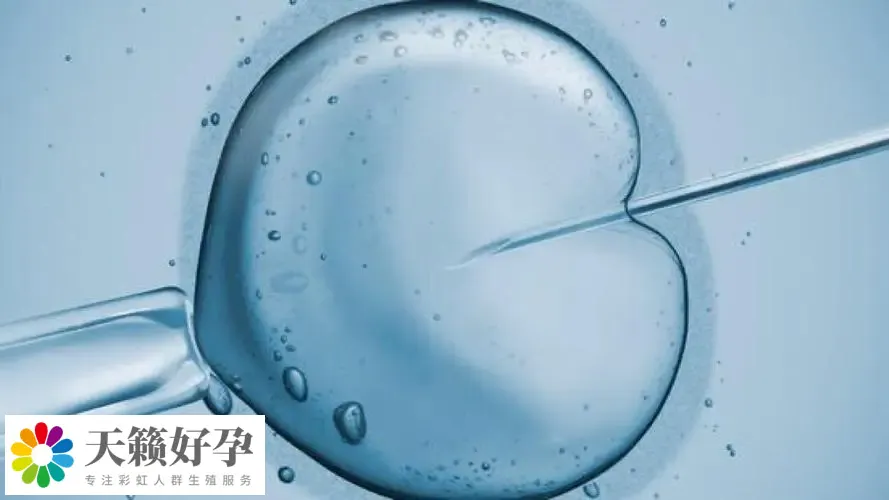 助孕機構(gòu)做三代試管產(chǎn)子多少錢，費用清單新鮮出爐