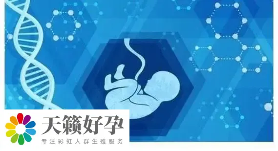 重慶女同可以做試管嬰兒的機構有哪些?費用大概需要多少?