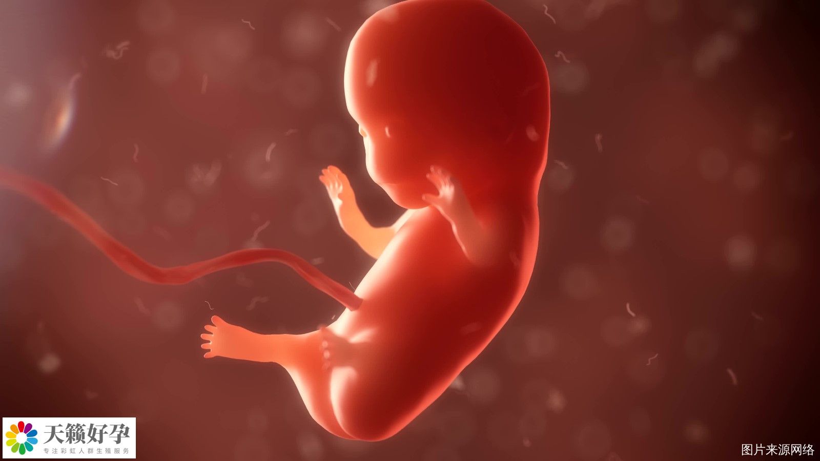 重慶女同可以做試管嬰兒的機構有哪些?費用大概需要多少?