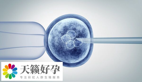 試管嬰兒技術要選擇哪一種