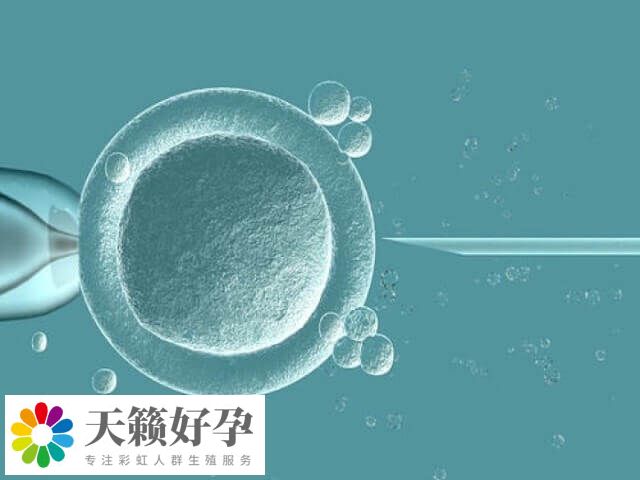 高齡試管懷孕如何提高成功率